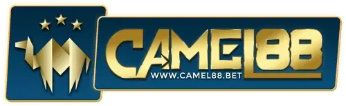 camel88